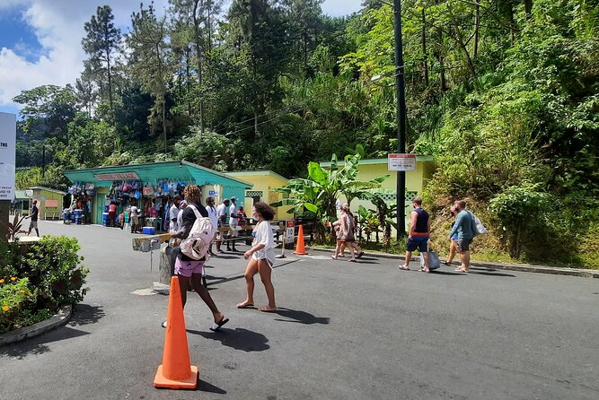 Mud bath and Waterfall with Snorkeling at Sugar beach - Toraille Waterfall: a 20-minute rainforest rinse