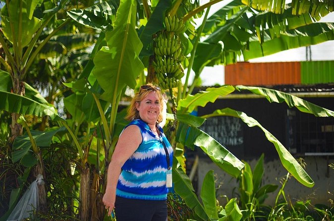 Mudbaths, Waterfall & Botanical Gardens Tour - All Inclusive - Toraille Waterfall, the natural rinse