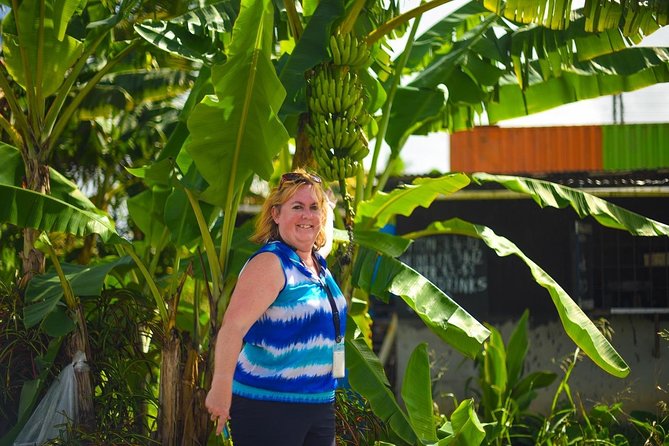 Mudbaths, Waterfall & Botanical Gardens Tour - All Inclusive - Transport, timing, and value at $143