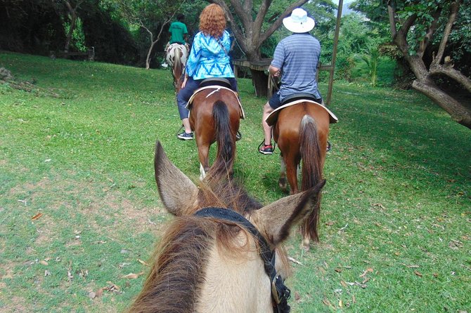 Nature & Historical Horseback Riding Tours St. Lucia - Who will get the most from this excursion?