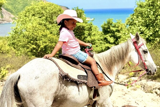Nature & Historical Horseback Riding Tours St. Lucia - From pickup to the stable