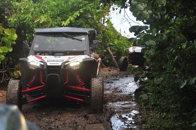 Northern Sights - Buggy in the North - Key points at a glance