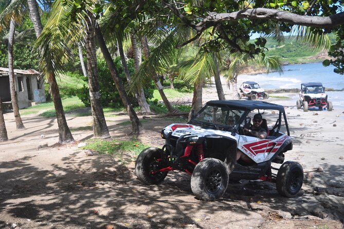Northern Sights - Buggy in the North - A quick ride through northern St Lucia