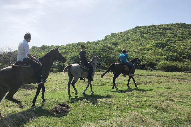 Private Advanced Horseback Beach Ride with Sandy Hoofs St. Lucia - Why the northeast coast makes this ride special