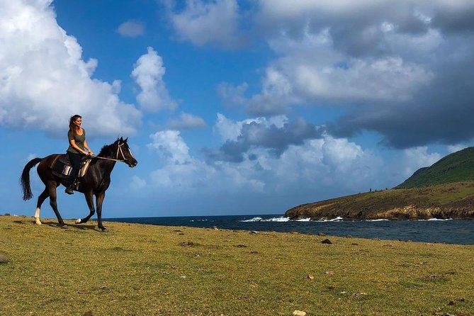 Private Beach Horseback Ride with Sandy Hoofs St. Lucia - Meeting the horses and finding your pace