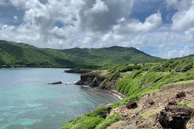 Private Beach Horseback Ride with Sandy Hoofs St. Lucia - The horse swim and the Atlantic water