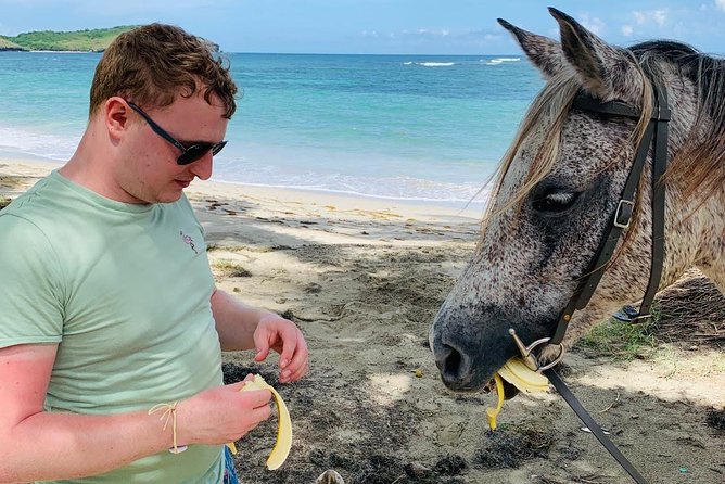 Private Beach Horseback Ride with Sandy Hoofs St. Lucia - A gentle ride or a faster beach canter