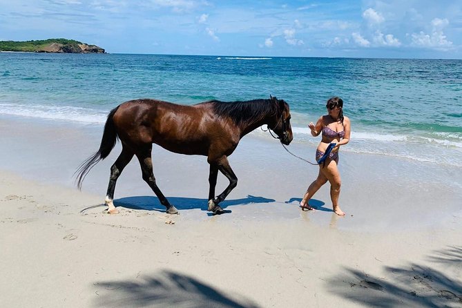 Private Beach Horseback Ride with Sandy Hoofs St. Lucia - What the guiding adds to the ride
