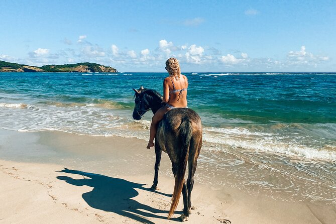 Private Beach Picnic Horseback Ride with Sandy Hoofs St. Lucia - From Sandy Hoofs to the Atlantic coast