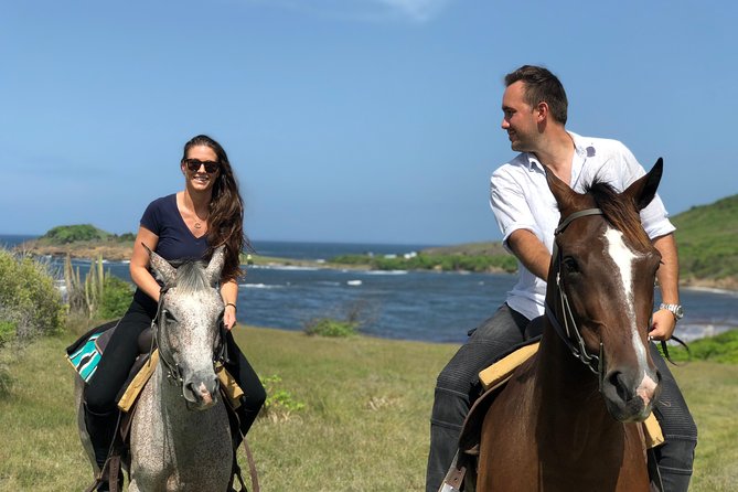 Private Beach Picnic Horseback Ride with Sandy Hoofs St. Lucia - Anse La Voute: picnic, sea, and saddle time