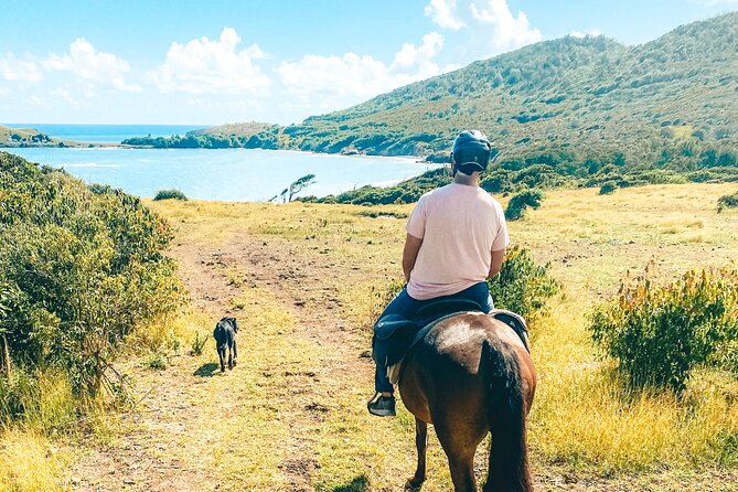 Private Beach Picnic Horseback Ride with Sandy Hoofs St. Lucia - Why the horses matter here