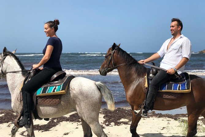 Private Beach Picnic Horseback Ride with Sandy Hoofs St. Lucia - Epouge Bay and the colorful cottages
