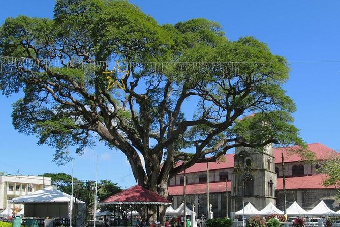Private Castries or Shopping Tour/Transfers - Shopping help instead of a rushed drop-off