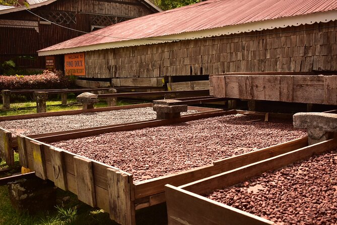 Private Chocolate Making Class - Is $50 per person a fair price?