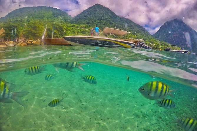 Private Custom Coastal Cruise St. Lucia Half Day - What the crew adds to the experience