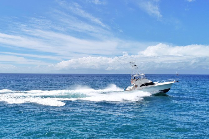 Private Custom Coastal Cruise St. Lucia Half Day - Who should book this private cruise?