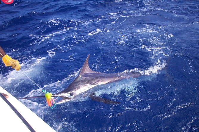 Private Fishing in St Lucia Charters - Key points to know before booking