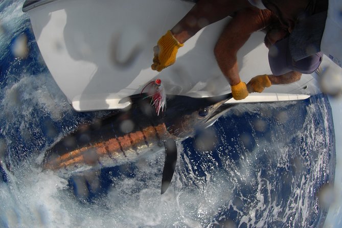 Private Fishing in St Lucia Charters - What is included, and what you still need to plan