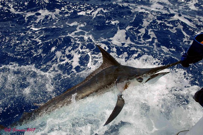 Private Fishing in St Lucia Charters - Is $860 a good value for four people?