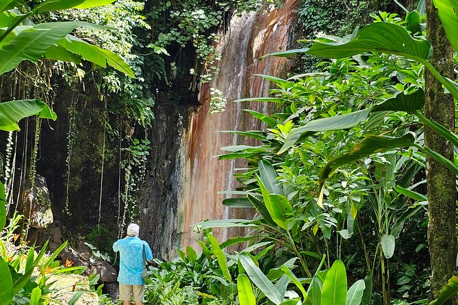 Private Island Tour St. Lucia - What $130 per person really buys