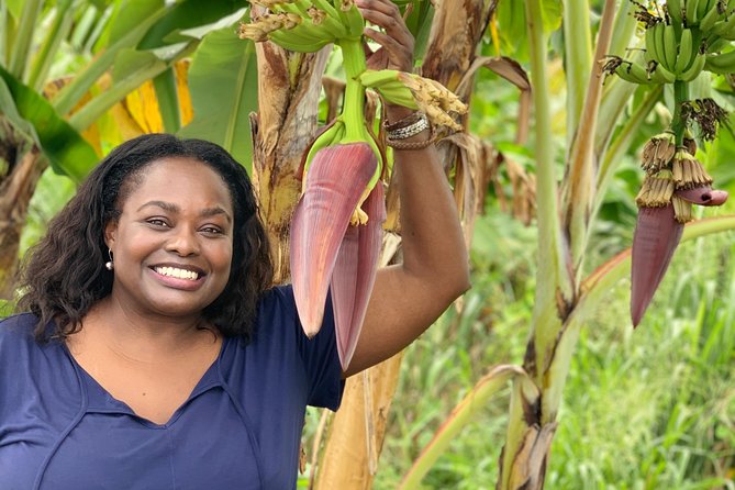 Private Soufriere Experience Tour - Sulphur Springs is the tour’s central experience