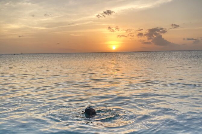 Private Sunset and Snorkel Cruise - Key points to know before you book