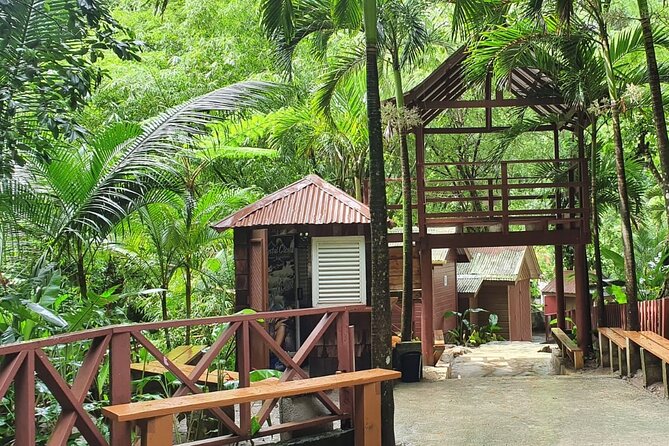 Private Tour of Sulphur Spring and Toraile Waterfall in Soufriere - What the $200 price really covers