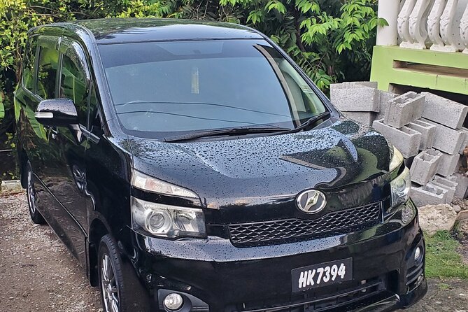Private (UVF) Hewanorra International Airport Round Trip Transfers - What the strongest service points are
