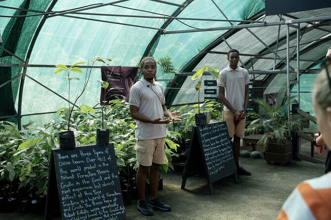 Project Chocolat Tree to Bar Tour at Hotel Chocolat Saint Lucia - Who will enjoy this most?