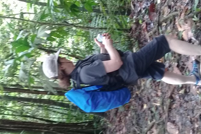 Rain forest and Bird watching - Cooling off at a waterfall or Marigot Bay beach