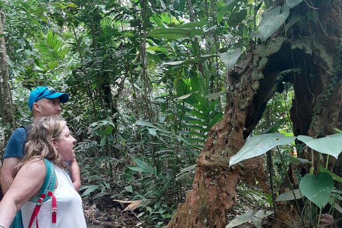 Rain forest and Bird watching - What to bring and how to prepare