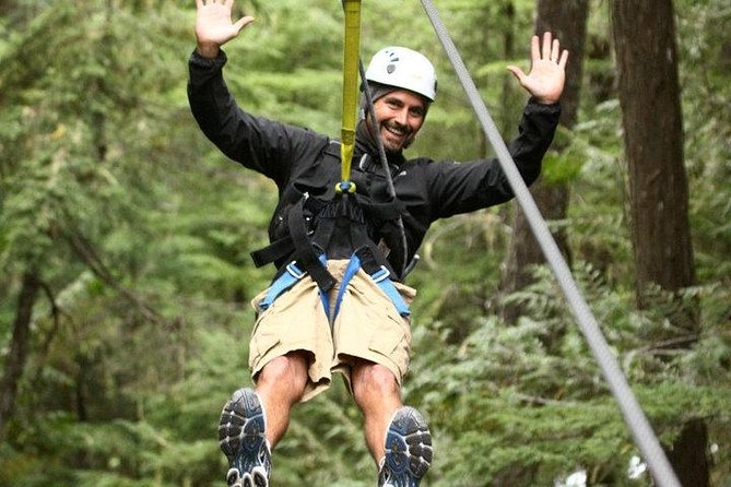Rainforest Canopy Adventure from Vieux Fort or North Island, St Lucia - Key points to know before you book