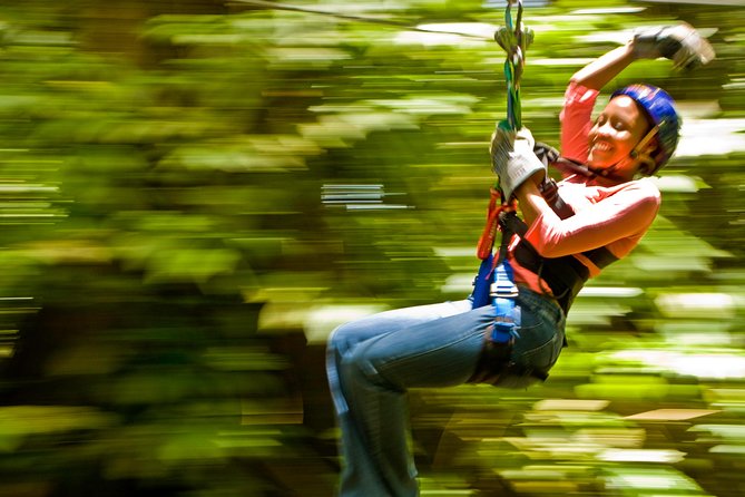 Rainforest Canopy Adventure from Vieux Fort or North Island, St Lucia - From Vieux Fort to the Choc rainforest