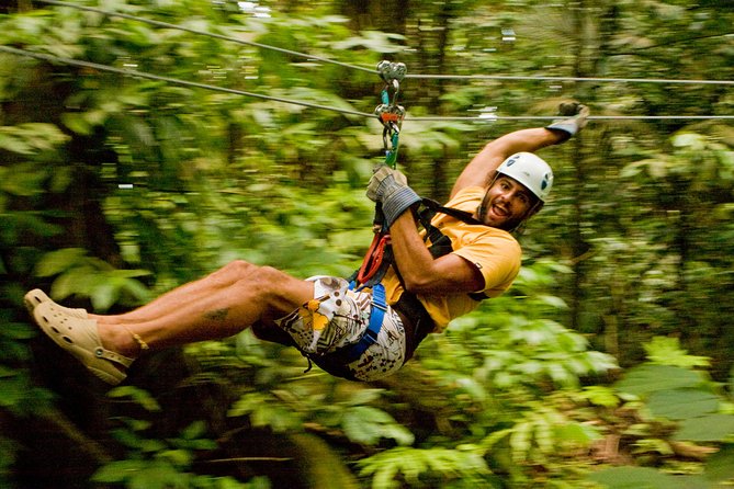 Rainforest Canopy Adventure from Vieux Fort or North Island, St Lucia - What the zipline course feels like