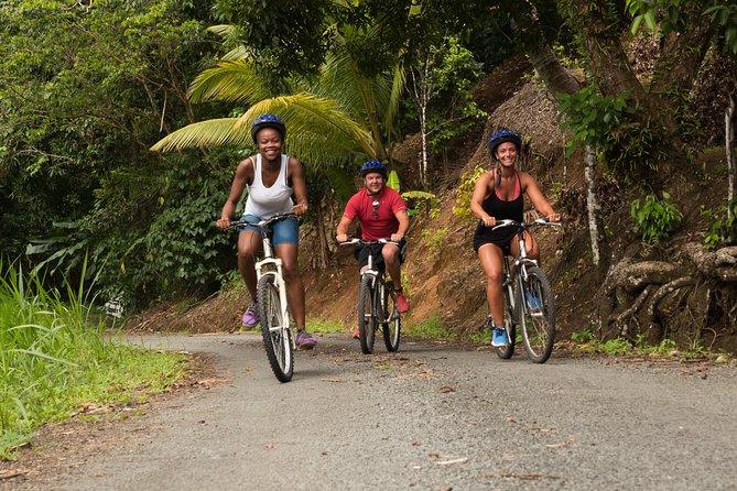 Rainforest Cycling Adventure in St. Lucia - Key points to know before you book