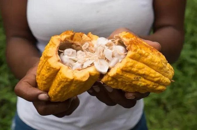 Rainforest Cycling Adventure in St. Lucia - The country roads bring the real workout