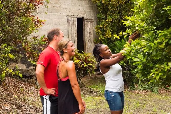 Rainforest Cycling Adventure in St. Lucia - Sault Falls is the cool-down you work for