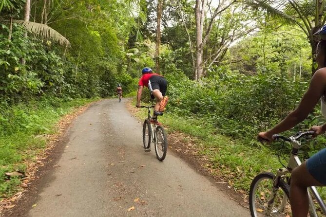 Rainforest Cycling Adventure in St. Lucia - Getting ready at Treetop Adventure Park