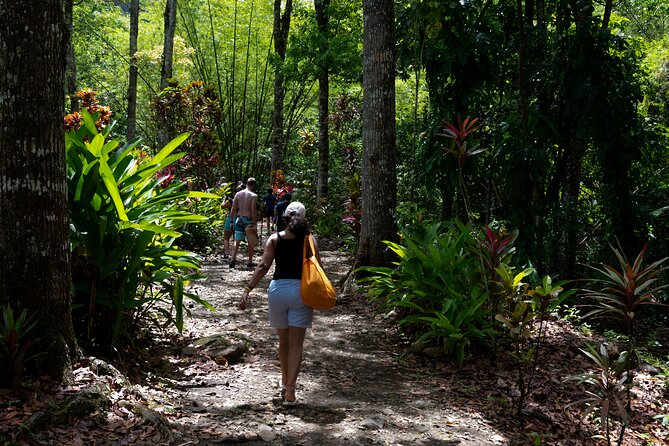 Rainforest Hike and Waterfall Safari - Swimming beneath the falls