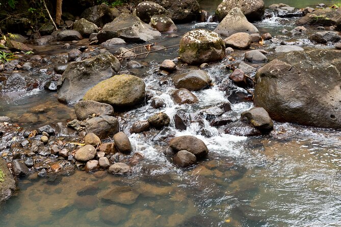 Rainforest Hike and Waterfall Safari - What to pack for a comfortable morning
