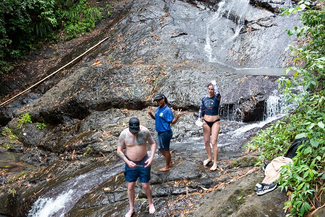 Rainforest Hike and Waterfall Safari - Who should book this St. Lucia rainforest safari?