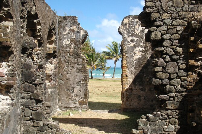 Rediut Beach OR Pigeon Island Beach Break Cruise Ship only Groups - Weather, cancellations, and practical planning