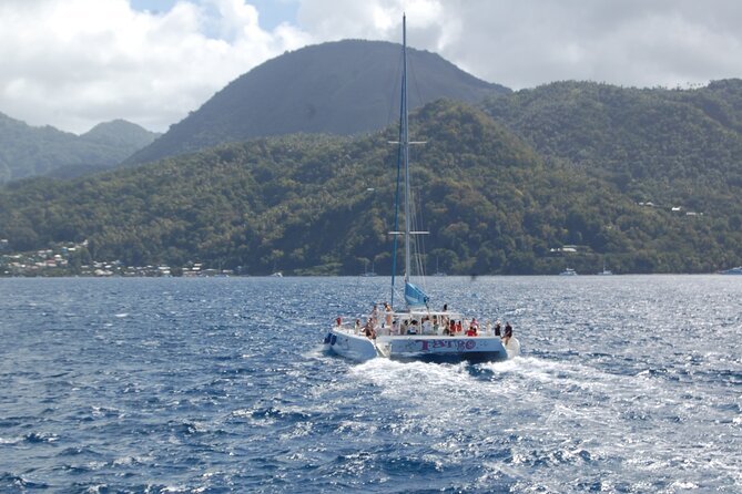 Rodney Bay to Soufriere Catamaran Transfer - Boarding at Rodney Bay Marina