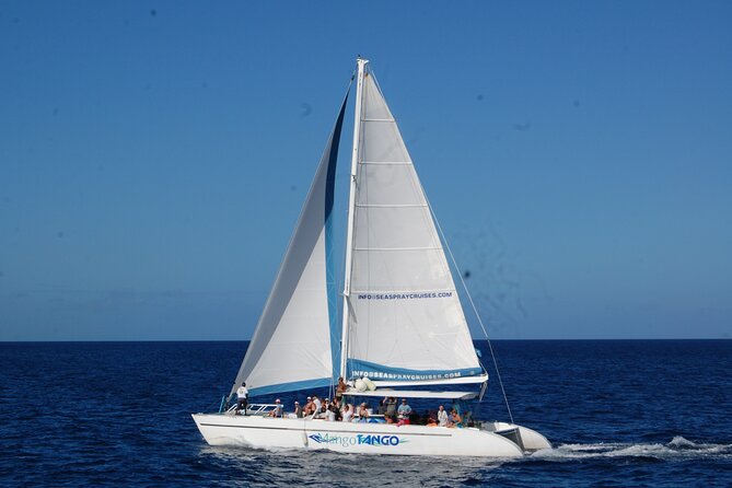 Rodney Bay to Soufriere Catamaran Transfer - The crew and the style of service