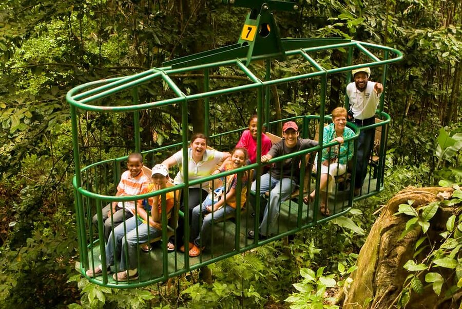 Saint Lucia: Aerial Tram Tour at Rainforest Adventures - Rising into the Castries Waterworks Reserve