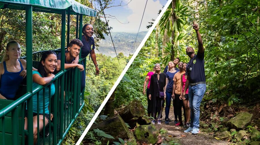 Saint Lucia: Aerial Tram Tour at Rainforest Adventures - Why the guide makes a difference