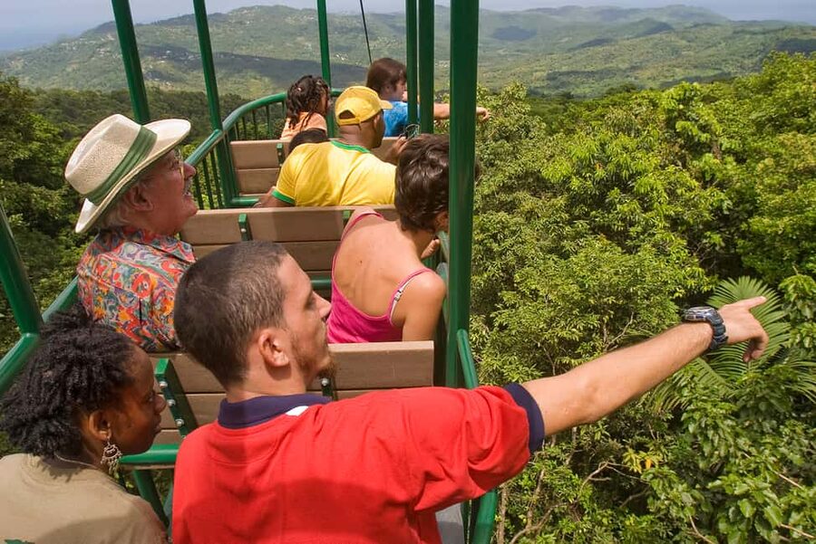 Saint Lucia: Aerial Tram Tour at Rainforest Adventures - What the aerial tram ride is really like