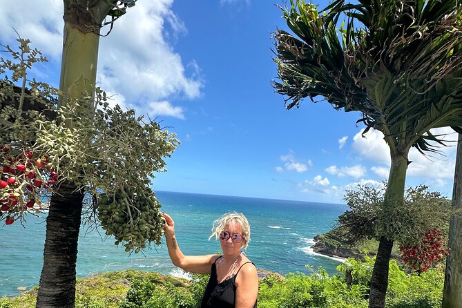 Saint Lucia Beach Tour with Free Entry - Beach time, swimming, and what is not included