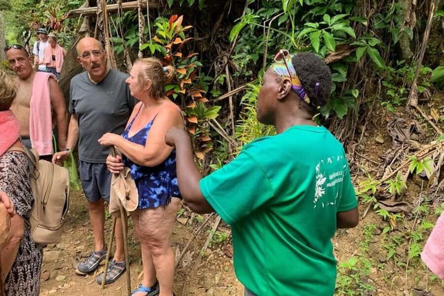 Saint Lucia: Soufriere Volcano Experience - The west coast road and Piton views