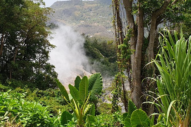 Scenic Tour of Soufriere - Canaries and Anse La Raye: St. Lucia beyond the postcard